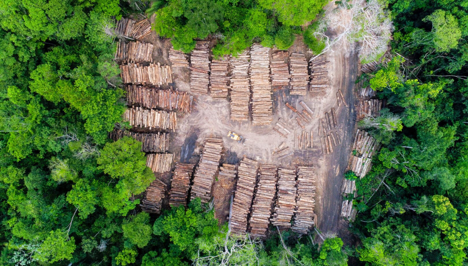 American Loggers Council