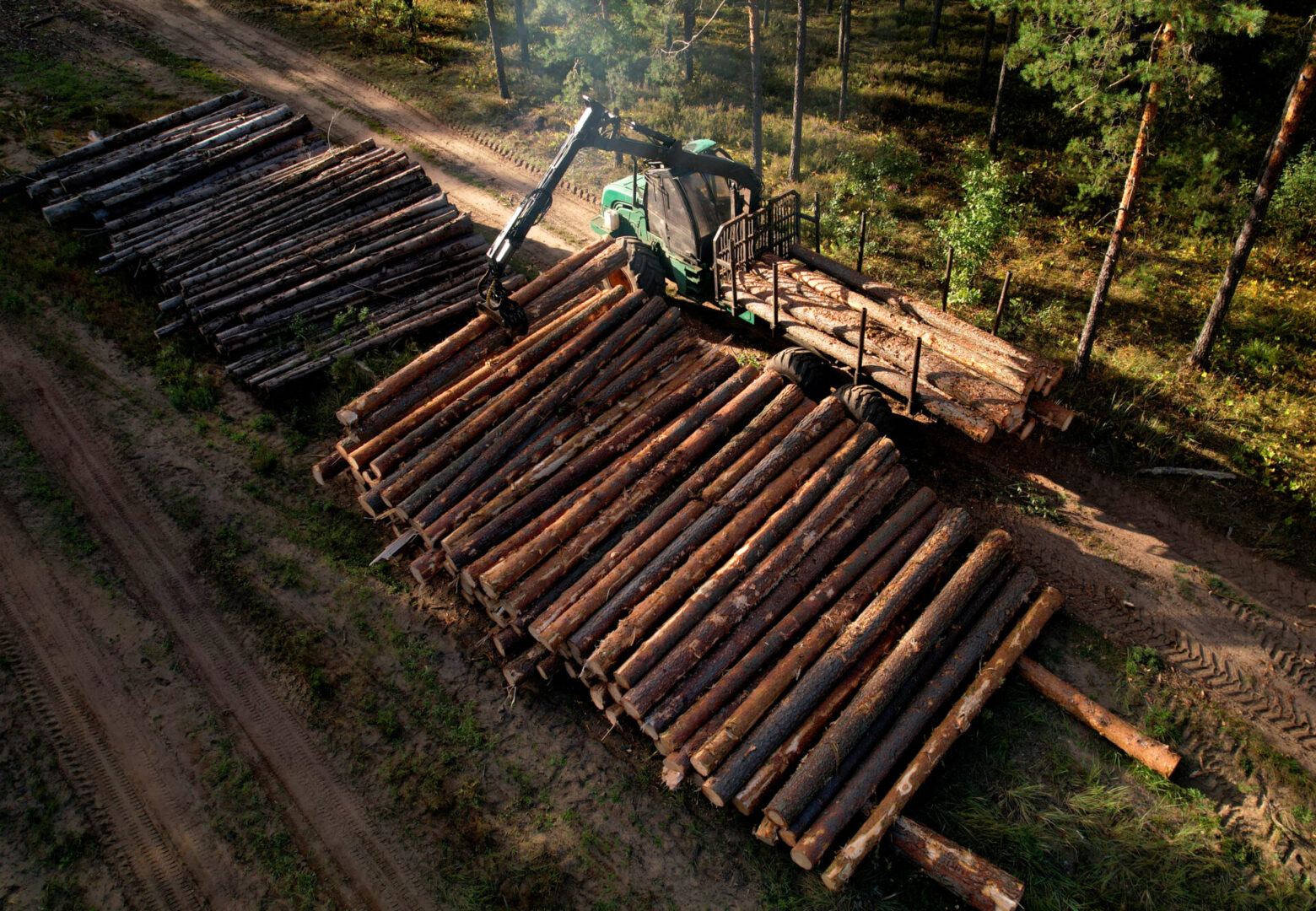 American Loggers Council