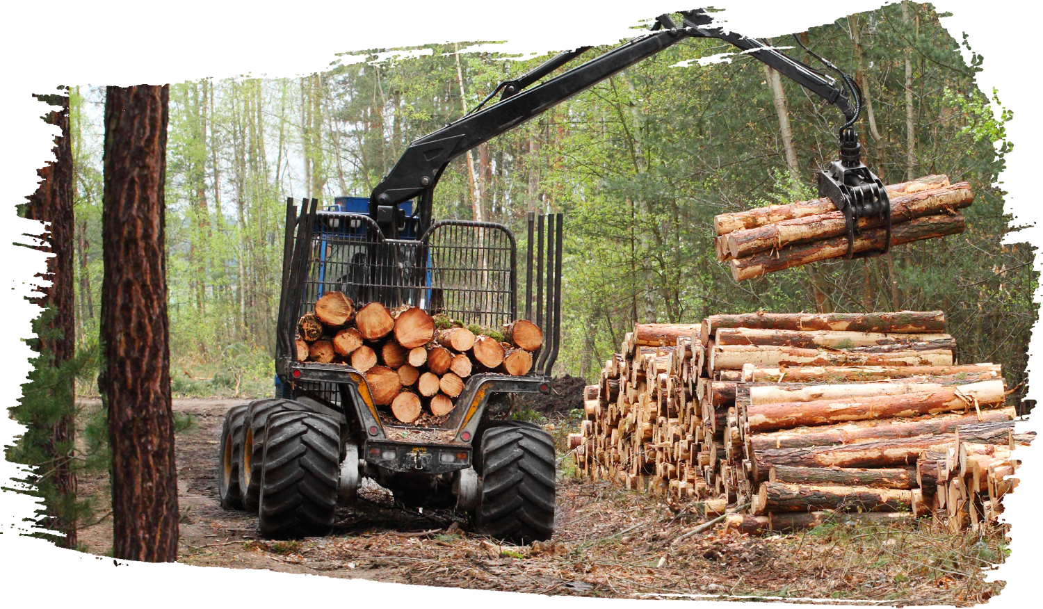 American Loggers Council