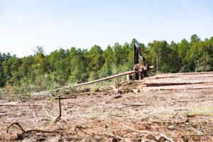 Deforestation scene with heavy machinery in forest.