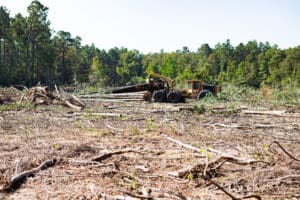 Deforestation scene with heavy machinery and logs.