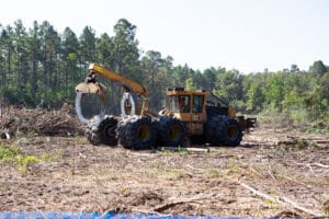 Logging vehicle clearing forested area.