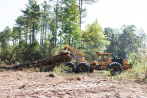 Logging vehicle moving large tree trunks.