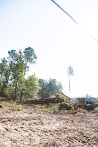 Logging machinery in a forest clearing.