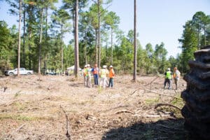 People in safety gear at forest clearing.