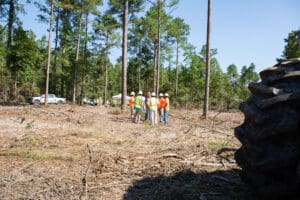 Workers in forest clearing wearing safety vests.