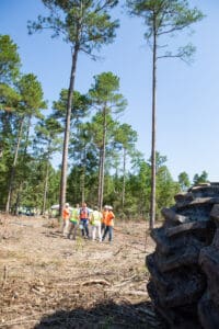 Workers in forest with large tractor tire.
