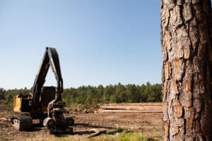 Tree logging scene with machinery and logs.