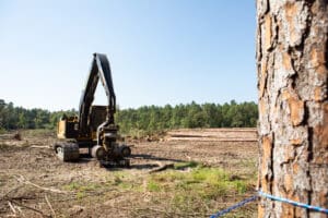 Excavator in a forest clearing area.