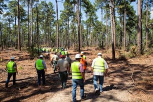 Group of people walking through forest.