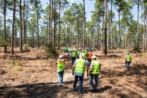 Group walking in forest, wearing safety vests.