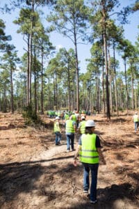 People in safety vests walking in forest.