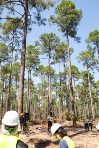 People in forest wearing safety gear.