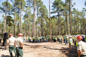 Group of people in a forest meeting.