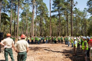 Group of workers gathered in a forest.