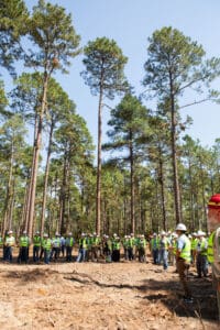 Forestry crew meeting in pine forest clearing