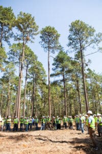 Group of people in forest, wearing vests.