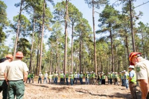 Group of people in a forest gathering.