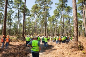 Workers gathered in forest wearing safety vests.