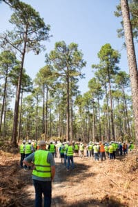 People in safety vests in forest area.