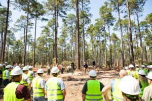 Workers in forest wearing safety vests, helmets.