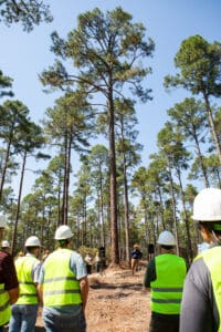 People in safety gear in forest meeting.