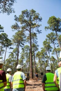 People in vests and helmets in forest.