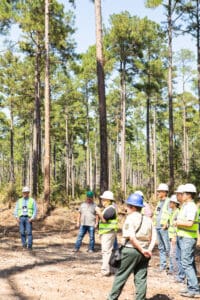 People in hard hats in forest meeting.