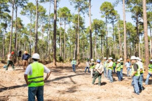 Workers gathered in forest wearing safety gear.