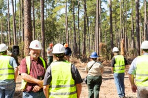 Forestry workers in hard hats and safety vests