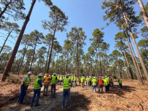 Group of workers in a forest meeting.