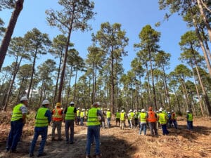 Workers in safety vests in forest clearing.