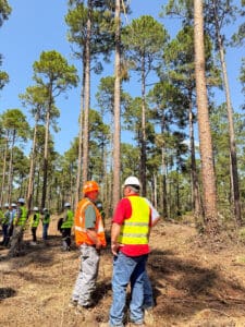 People in safety gear in forest environment.