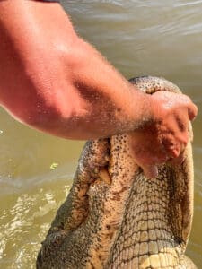 Person holding crocodile's snout in water.