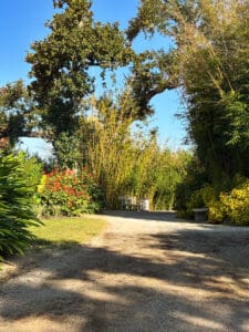 Garden path with benches and lush greenery.